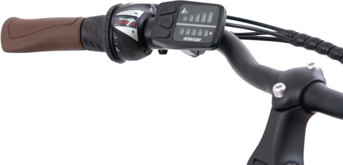 F.LLI Schiano E-Ride, E Bike Trekking 28 Zoll, 36V 10.4Ah Abnehmbarer Akku, Motor 250W 40Nm, Trekking EBike für Herren