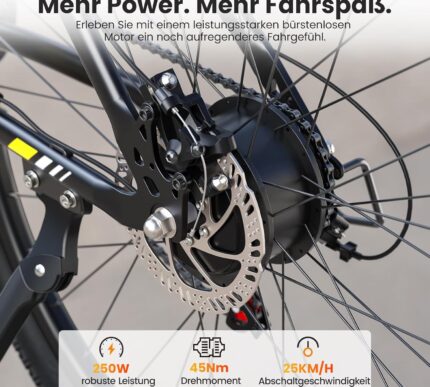 Touroll U1 E-Bikes, 26/29 Zoll E Bike Herren Damen mit Abnehmbarer 36V 13Ah Akku, 250W Motor MTB, E-Mountainbike mit 21 Gang, Elektrofahrrad Reichweite über 65KM, CST Off-Road-Reifen